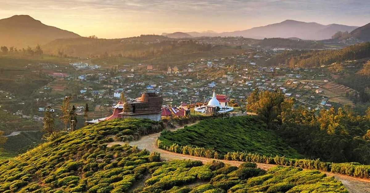 single tree hill sri lanka